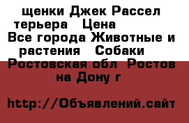 щенки Джек Рассел терьера › Цена ­ 27 000 - Все города Животные и растения » Собаки   . Ростовская обл.,Ростов-на-Дону г.